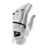 Mizuno Elite Glove